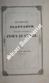 Enumeratio Plantarum Hucusque Cognitarum Insulae Cypri