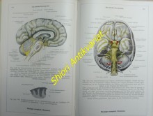 Toldts Anatomischer Atlas für Studierende und Ärzte. (3 Bände, komplett). I: Knochen - Bänder - Muskeln. II: Darm-, Harn- und Geschlechtswerkzeuge - Gefäße. III: Nerven - Sinneswerkzeuge