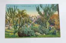 MONTE CARLO - Vue dans les Jardins (106)