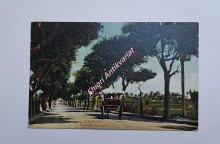 ALEXANDRIE - Promenade de Ramleh