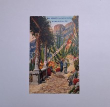 MONACO - Les Jardins Exotiques et la téte de Chien , RM (295)