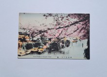 TOKYO - Cherry-Blossoms Edogawa Tokyo
