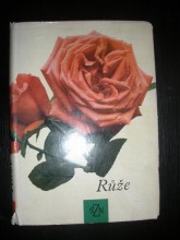 Růže (2)
