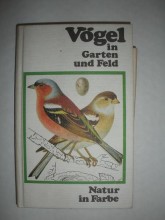 Vögel in Garten und Feld