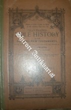 ILLUSTRATED BIBLE HISTORY OF THE OLD AND NEW TESTAMENTS FOR THE USE OF CATHOLIC SCHOOLS